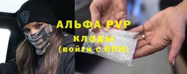 стаф Балахна