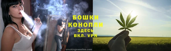 прущие грибы Балабаново
