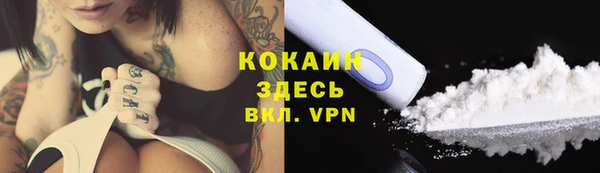 стаф Балахна