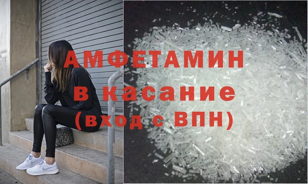 прущие грибы Балабаново