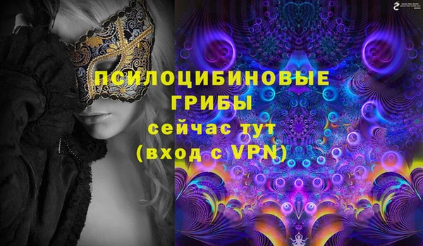 стаф Балахна